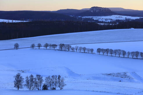 Germany, Saxony, Treelined road in Saxon Switzerland at winter dusk - JTF02392