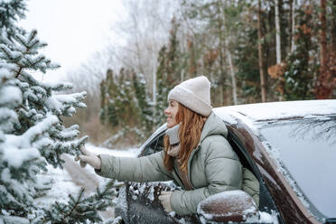 Woman touching snowcapped trees leaning out of car window - NLAF00261