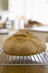 Farmhouse Bread on Rack - FSIF06801