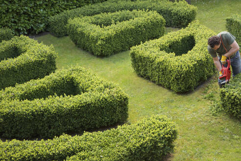 Gärtner schneidet eine Hecke in einem Labyrinth mit einer elektrischen Schere, Blick von oben - FSIF06828