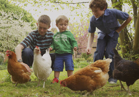 Kinder und Hühner im Garten - FSIF06840