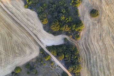 From above shot capturing the intricate patterns of ploughed fields interspersed with natural vegetation, resembling an abstract painting with rich textures and earth tones - ADSF52783