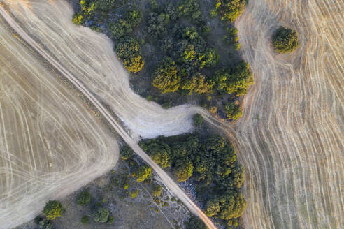 Die Aufnahme von oben zeigt die komplizierten Muster der gepflügten Felder, die mit natürlicher Vegetation durchsetzt sind und einem abstrakten Gemälde mit reichen Texturen und Erdtönen ähneln - ADSF52783