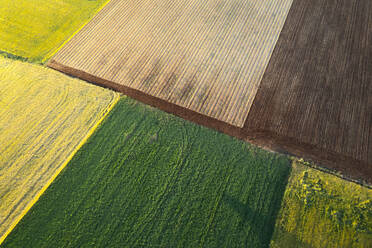 Blick von oben auf einen bunten Flickenteppich aus blühenden und gepflügten Feldern, die eine lebendige und vielfältige Agrarlandschaft bilden - ADSF52787