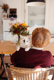 Weiße Katze mit blauen Augen auf der Schulter einer nicht erkennbaren Frau vor einem häuslichen Hintergrund - ADSF52825