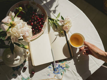 Die Hand einer Frau hält eine Teetasse in der Nähe des Tagebuchs auf dem Tisch zu Hause - IEF00530