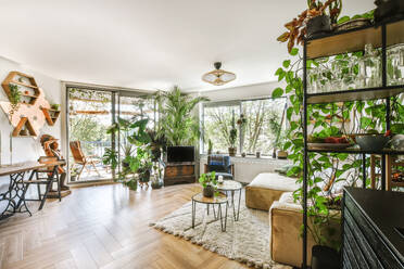 Modern living room with large windows, lush indoor plants, comfortable seating, and stylish decor, reflecting a cozy and green urban lifestyle. - ADSF52898