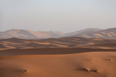 A serene view of the smoothly contoured dunes of Erg Chebbi in Morocco's Merzouga desert with the gentle hues of dusk. - ADSF52939