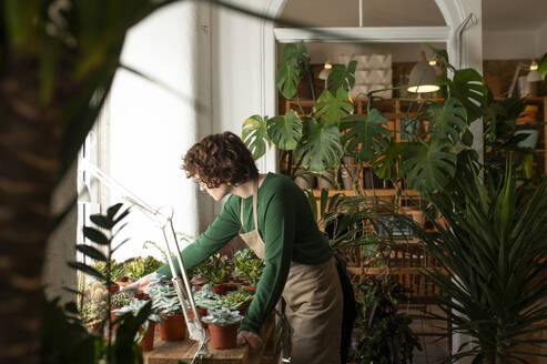 Botanist wearing apron and examining plants at nursery - VRAF00412