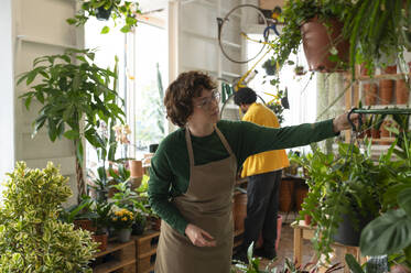 Botanikerin hängt Pflanzen an einer Stange im Geschäft auf - VRAF00416