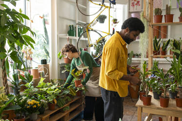 Multiracial colleagues assisting each other working in plant store - VRAF00418