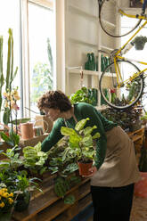 Botanikerin mit Schürze, die Pflanzen auf einer Palette im Geschäft arrangiert - VRAF00419