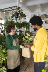 Lächelnder Botaniker, der einem Kunden in einer Gärtnerei Pflanzen verkauft - VRAF00423