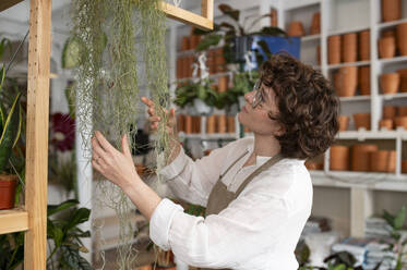 Botanist examining Spanish moss plant at store - VRAF00430