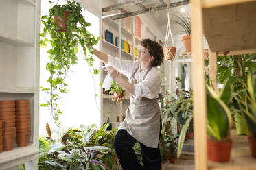 Nursery owner spraying water on plants at shop - VRAF00447