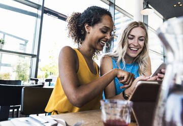 Happy young friends having fun sitting in restaurant - UUF31291