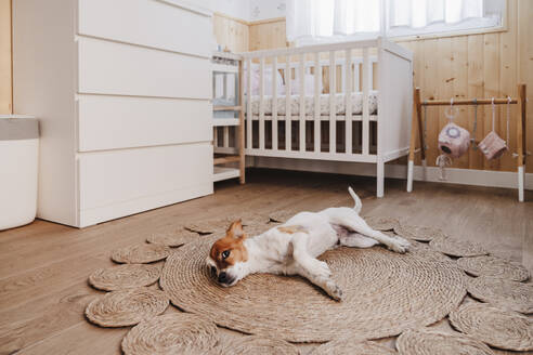 Dog lying on wicker rug in nursery bedroom at home - EBBF08720