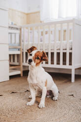 Cute dog sitting on wicker rug near crib at home - EBBF08724