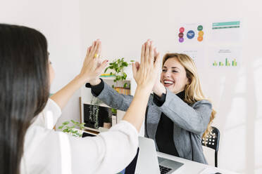 Happy young businesswoman giving high-five to colleague at office - XLGF03364