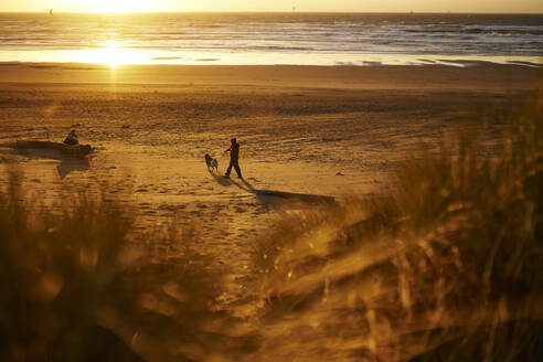 Junge Frau geht mit Hund am Strand bei Sonnenuntergang spazieren - ANNF00845