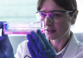 Scientist examining liquid in glassware and experimenting in laboratory - ABRF01150