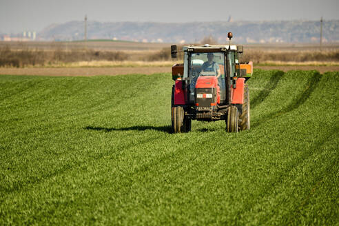 Farmer in tractor fertilizing green wheat crops in field - NOF00930