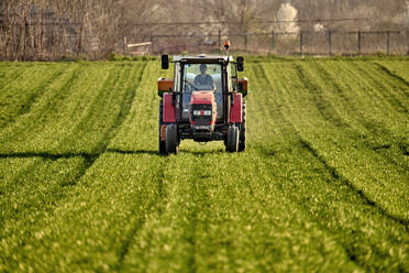 Landwirt fährt Traktor und sprüht Dünger auf das Feld - NOF00936