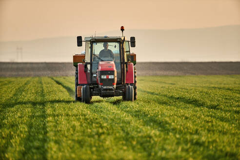 Junger Landwirt im Traktor beim Düngen von Pflanzen auf einem grünen Feld - NOF00941