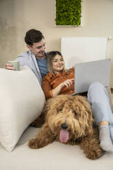 Smiling young couple using laptop near dog at home - UUF31346