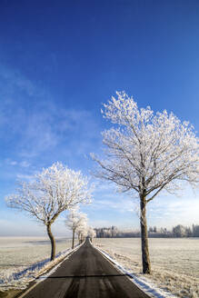 Gerade Landstraße im Winter - PUF02052