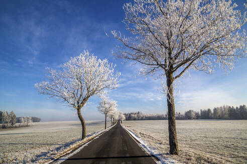 Gerade Landstraße im Winter - PUF02053