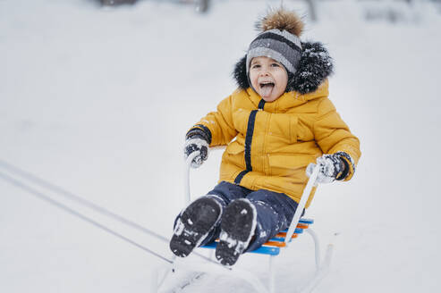Cheerful boy wearing warm clothes enjoying sled ride on snow in winter - ANAF02716