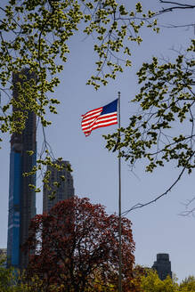 USA, New York State, New York City, American flag on flagpole in Central Park - NGF00847
