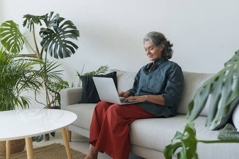 Mature freelancer sitting on sofa and using laptop in home office - AAZF01528