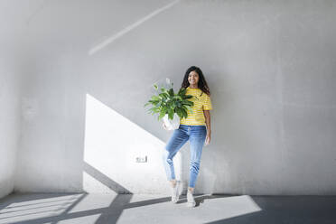 Smiling young woman holding plant in front of wall at new home - AAZF01546