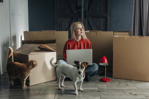 Nachdenkliche Frau sitzt mit Laptop und Haustieren in der Nähe von Pappkartons - VSNF01670