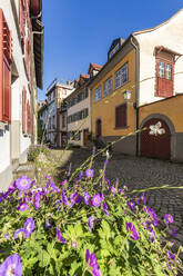 Österreich, Vorarlberg, Bregenz, Altstadtgässchen im Frühling - WDF07526