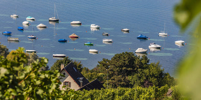 Schweiz, Thurgau, Mannenbach, Verschiedene Boote auf dem Bodensee - WDF07531