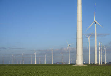 Netherlands, Groningen Province, Eemshaven, View of wind farm turbines - MKJF00030