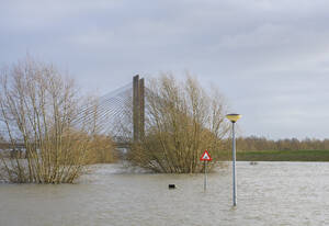 Niederlande, Gelderland, Zaltbommel, Blick auf den Fluss Waal, der nach lang anhaltenden Regenfällen das umliegende Land überflutet - MKJF00053