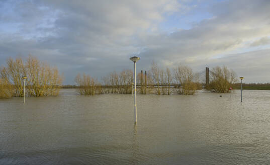 Niederlande, Gelderland, Zaltbommel, Blick auf den Fluss Waal, der nach lang anhaltenden Regenfällen das umliegende Land überflutet - MKJF00054