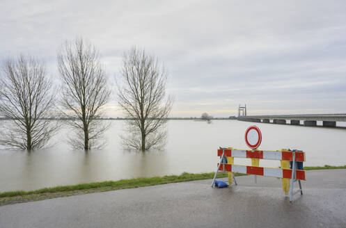 Niederlande, Gelderland, Zaltbommel, Blick auf den Fluss Waal, der nach lang anhaltenden Regenfällen das umliegende Land überflutet - MKJF00055