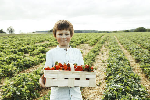 Lächelnder Junge mit Korb voller Erdbeeren auf einem Feld - ELMF00010