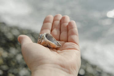 Woman holding seashell at beach - KVBF00024