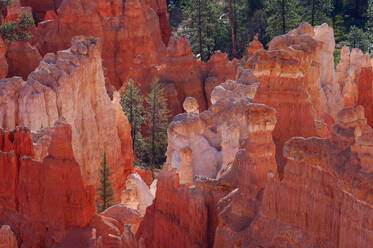 USA, Utah, Felsen-Hoodoos im Bryce Canyon - RUEF04283