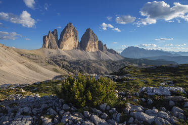 Italy, Veneto, View of Tre Cime di Lavaredo with bush in foreground - RUEF04290