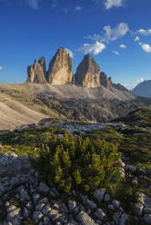 Italien, Venetien, Ansicht von Tre Cime di Lavaredo mit Busch im Vordergrund - RUEF04291