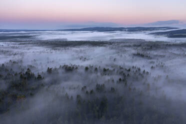 Deutschland, Bayern, Luftaufnahme eines in dichten Morgennebel gehüllten Waldes - RUEF04302