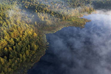 Deutschland, Bayern, Luftaufnahme eines bewaldeten Seeufers im dichten Morgennebel - RUEF04303