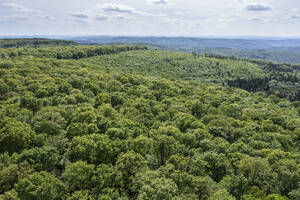 Deutschland, Bayern, Luftaufnahme von grünem Wald im Spessart - RUEF04318